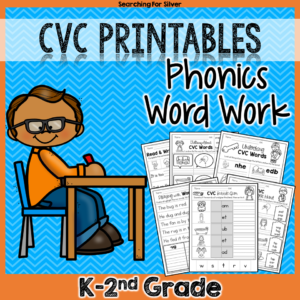 CVC Phonics Word Work